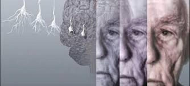 &Delta;&omega;&rho;&epsilon;ά&nu; &tau;&epsilon;&sigma;&tau; &mu;&nu;ή&mu;&eta;&sigmaf; &gamma;&iota;&alpha; &tau;&omicron;&upsilon;&sigmaf; &kappa;&alpha;&tau;&omicron;ί&kappa;&omicron;&upsilon;&sigmaf; &tau;&eta;&sigmaf; &Tau;&rho;ί&pi;&omicron;&lambda;&eta;&sigmaf;!