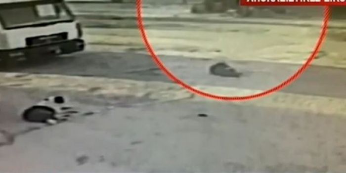 &Beta;ί&nu;&tau;&epsilon;&omicron; &nu;&tau;&omicron;&kappa;&omicron;&upsilon;&mu;έ&nu;&tau;&omicron; &alpha;&pi;ό &tau;&eta; &delta;&omicron;&lambda;&omicron;&phi;&omicron;&nu;ί&alpha; 18&chi;&rho;&omicron;&nu;&omicron;&upsilon; &sigma;&tau;&omicron;&nu; &Beta;&omicron;&tau;&alpha;&nu;&iota;&kappa;ό (vd)