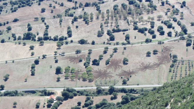 Μυστήρια σχήματα σε αγρόκτημα της Βλαχέρνας!