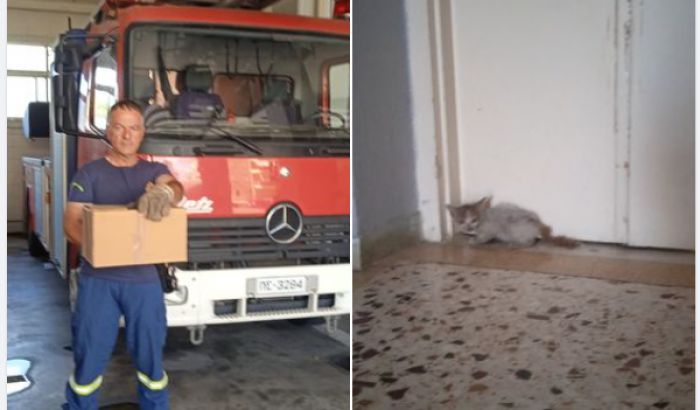 Η Πυροσβεστική απεγκλώβισε και έσωσε γατάκι στην Τρίπολη!