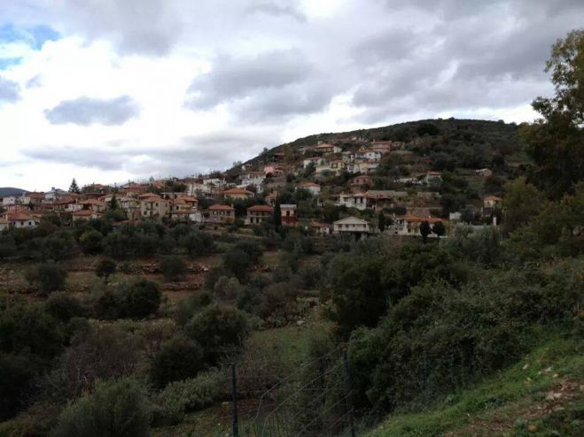 Νέα Πρόεδρος στο Σύλλογο Σπαθαριώτων
