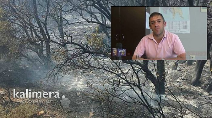 &Alpha;&lambda;ή&theta;&epsilon;&iota;&epsilon;&sigmaf; &alpha;&pi;ό &tau;&omicron;&nu; &Pi;&alpha;&pi;&alpha;&delta;&eta;&mu;&eta;&tau;&rho;ί&omicron;&upsilon;: "&Delta;&epsilon;&nu; &beta;ά&lambda;&alpha;&mu;&epsilon; &mu;&upsilon;&alpha;&lambda;ό &alpha;&pi;ό &tau;&iota;&sigmaf; &phi;&omega;&tau;&iota;έ&sigmaf; &tau;&omicron;&upsilon; 2007 - &Xi;&epsilon;&beta;&rho;ά&kappa;&omega;&tau;&eta; &eta; &Pi;&upsilon;&rho;&omicron;&sigma;&beta;&epsilon;&sigma;&tau;&iota;&kappa;ή - &Omicron;&iota; &pi;&epsilon;&rho;&iota;&sigma;&sigma;ό&tau;&epsilon;&rho;&epsilon;&sigmaf; &pi;&upsilon;&rho;&kappa;&alpha;&gamma;&iota;έ&sigmaf; &epsilon;ί&nu;&alpha;&iota; &epsilon;&mu;&pi;&rho;&eta;&sigma;&mu;&omicron;ί" (vd)