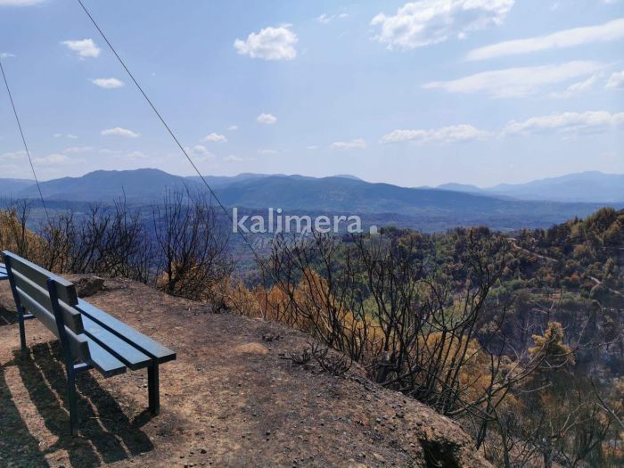 Οικονομική ενίσχυση για καμένες εκτάσεις στην Γορτυνία | Σε Δάφνη και Λουτρά η Επιτροπή για τις αιτήσεις