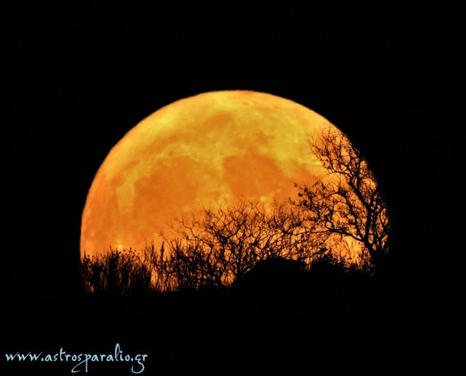&Eta; &pi;&alpha;&nu;έ&mu;&omicron;&rho;&phi;&eta; &Pi;&alpha;&nu;&sigma;έ&lambda;&eta;&nu;&omicron;&sigmaf; &alpha;&pi;ό &tau;&omicron; &Pi;&alpha;&rho;ά&lambda;&iota;&omicron; Ά&sigma;&tau;&rho;&omicron;&sigmaf;! (&epsilon;&iota;&kappa;ό&nu;&epsilon;&sigmaf;)
