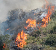 Πολύ υψηλός κίνδυνος πυρκαγιάς σε περιοχές της Πελοποννήσου