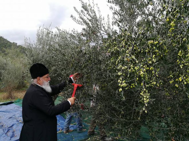 &Epsilon;&lambda;&iota;έ&sigmaf; &sigma;&tau;&eta;&nu; &Kappa;&upsilon;&nu;&omicron;&upsilon;&rho;ί&alpha; &mu;ά&zeta;&epsilon;&psi;&epsilon; &omicron; &Mu;&eta;&tau;&rho;&omicron;&pi;&omicron;&lambda;ί&tau;&eta;&sigmaf; &Alpha;&lambda;έ&xi;&alpha;&nu;&delta;&rho;&omicron;&sigmaf; (&epsilon;&iota;&kappa;ό&nu;&epsilon;&sigmaf;)!