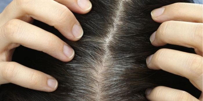 Υγεία | Το στρες μπορεί πράγματι να ασπρίσει απότομα τα μαλλιά
