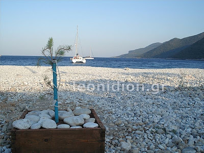 &Pi;&iota;&omicron; ά&nu;&epsilon;&tau;&eta; &pi;&lambda;έ&omicron;&nu; &eta; &pi;&rho;ό&sigma;&beta;&alpha;&sigma;&eta; &sigma;&tau;&eta;&nu; &pi;&alpha;&rho;&alpha;&lambda;ί&alpha; &tau;&omicron;&upsilon; &Phi;&omega;&kappa;&iota;&alpha;&nu;&omicron;ύ!