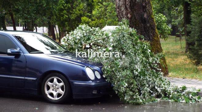 Κομμάτι δένδρου έπεσε πάνω σε αυτοκίνητο στην Τρίπολη (εικόνες)!