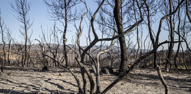 &Rho;&epsilon;&kappa;ό&rho; &mu;&epsilon; 49,9 &beta;&alpha;&theta;&mu;&omicron;ύ&sigmaf; &sigma;&tau;&omicron; &Iota;&sigma;&rho;&alpha;ή&lambda;!