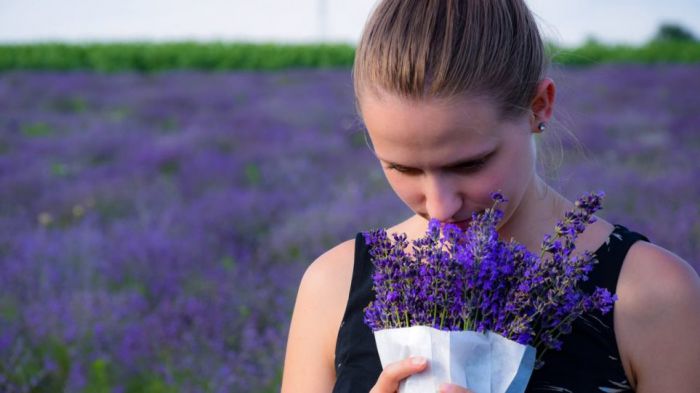 &Tau;&omicron; &sigma;ύ&mu;&pi;&tau;&omega;&mu;&alpha; &pi;&omicron;&upsilon; &xi;&epsilon;&chi;&omega;&rho;ί&zeta;&epsilon;&iota; &tau;&eta;&nu; COVID-19 &alpha;&pi;ό &tau;&omicron; &kappa;&rho;&upsilon;&omicron;&lambda;ό&gamma;&eta;&mu;&alpha;