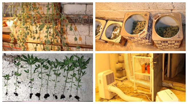 &Pi;ά&nu;&omega; &alpha;&pi;ό 1,5 &kappa;&iota;&lambda;ό &kappa;ά&nu;&nu;&alpha;&beta;&eta;&sigmaf; &beta;&rho;ή&kappa;&epsilon; &eta; &Alpha;&sigma;&tau;&upsilon;&nu;&omicron;&mu;ί&alpha; ... &mu;έ&sigma;&alpha; &sigma;&epsilon; &sigma;&tau;ά&beta;&lambda;&omicron; &sigma;&tau;&eta;&nu; &Kappa;&omicron;&rho;&iota;&nu;&theta;ί&alpha;! (&epsilon;&iota;&kappa;ό&nu;&epsilon;&sigmaf;)