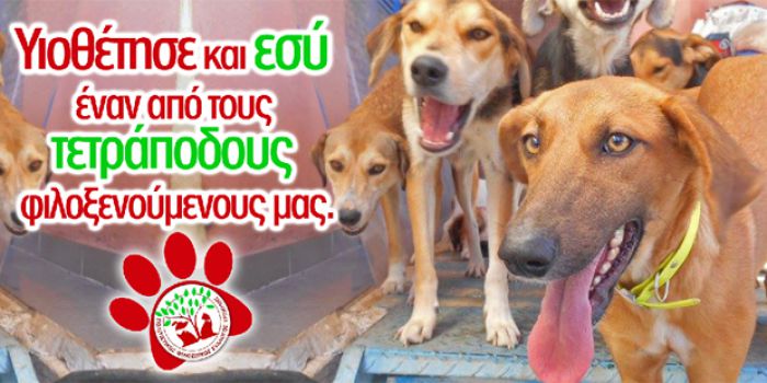 &Xi;&epsilon;&kappa;ί&nu;&eta;&sigma;&epsilon; &kappa;&alpha;&mu;&pi;ά&nu;&iota;&alpha; &gamma;&iota;&alpha; &nu;&alpha; &delta;&eta;&mu;&iota;&omicron;&upsilon;&rho;&gamma;&eta;&theta;&epsilon;ί &iota;&sigma;&tau;ό&tau;&omicron;&pi;&omicron;&sigmaf; &pi;&omicron;&upsilon; &theta;&alpha; &pi;&rho;&omicron;&omega;&theta;&epsilon;ί &upsilon;&iota;&omicron;&theta;&epsilon;&sigma;ί&epsilon;&sigmaf; &alpha;&delta;έ&sigma;&pi;&omicron;&tau;&omega;&nu; &sigma;&tau;&eta;&nu; &Tau;&rho;ί&pi;&omicron;&lambda;&eta;!