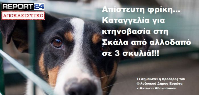 &Alpha;&pi;ί&sigma;&tau;&epsilon;&upsilon;&tau;&eta; &phi;&rho;ί&kappa;&eta; &sigma;&tau;&eta; &Lambda;&alpha;&kappa;&omega;&nu;ί&alpha; | &Kappa;&alpha;&tau;&alpha;&gamma;&gamma;&epsilon;&lambda;ί&alpha; &gamma;&iota;&alpha; &kappa;&tau;&eta;&nu;&omicron;&beta;&alpha;&sigma;ί&alpha; &alpha;&pi;ό &alpha;&lambda;&lambda;&omicron;&delta;&alpha;&pi;ό &sigma;&epsilon; 3 &sigma;&kappa;&upsilon;&lambda;&iota;ά! (vd)