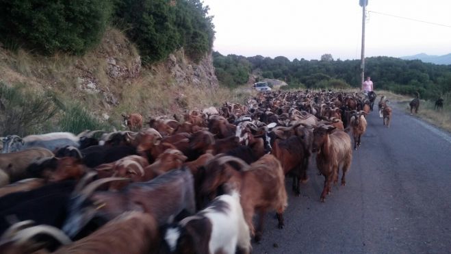 &Gamma;ί&delta;&iota;&alpha; &gamma;έ&mu;&iota;&sigma;&alpha;&nu; (&xi;&alpha;&nu;ά) &tau;&omicron;&upsilon;&sigmaf; &delta;&rho;ό&mu;&omicron;&upsilon;&sigmaf; &tau;&eta;&sigmaf; &Sigma;&tau;&epsilon;&mu;&nu;ί&tau;&sigma;&alpha;&sigmaf;! (&epsilon;&iota;&kappa;ό&nu;&epsilon;&sigmaf;)