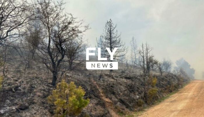 &Phi;&omega;&tau;&iota;ά &xi;έ&sigma;&pi;&alpha;&sigma;&epsilon; &sigma;&tau;&omicron;&nu; &Pi;ά&rho;&nu;&omega;&nu;&alpha; (vd)