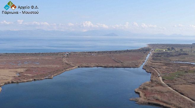 19 διαφορετικά είδη πουλιών στο υγροτοπικό σύμπλεγμα Μουστού!