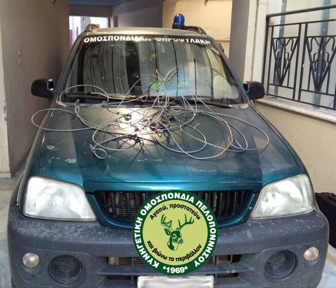 &Theta;&eta;&rho;&omicron;&phi;&upsilon;&lambda;&alpha;&kappa;ή | &Pi;&alpha;&gamma;ί&delta;&epsilon;&sigmaf; &gamma;&iota;&alpha; &alpha;&gamma;&rho;&iota;&omicron;&gamma;&omicron;ύ&rho;&omicron;&upsilon;&nu;&alpha; &epsilon;&nu;&tau;&omicron;&pi;ί&sigma;&tau;&eta;&kappa;&alpha;&nu; &sigma;&tau;&omicron;&nu; &Lambda;ά&delta;&omega;&nu;&alpha; - &Mu;ί&alpha; &sigma;ύ&lambda;&lambda;&eta;&psi;&eta;