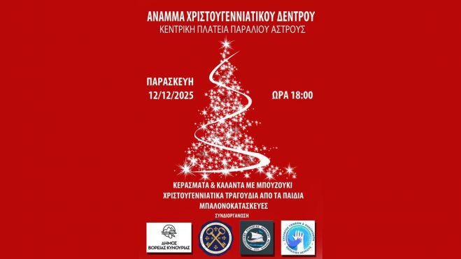 Το Σάββατο η φωταγώγηση του Χριστουγεννιάτικου Δένδρου στο Παράλιο Άστρος