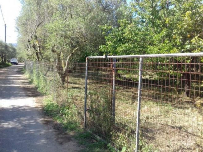 &Tau;&rho;&omicron;&chi;&alpha;ί&omicron; &alpha;&tau;ύ&chi;&eta;&mu;&alpha; &Iota;.&Chi; &mu;&epsilon; &pi;&omicron;&delta;&eta;&lambda;ά&tau;&eta; &sigma;&tau;&omicron;&nu; Ά&gamma;&iota;&omicron; &Alpha;&nu;&delta;&rho;έ&alpha; &Kappa;&upsilon;&nu;&omicron;&upsilon;&rho;ί&alpha;&sigmaf;