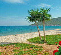 &Mu;&omicron;&nu;&alpha;&delta;&iota;&kappa;ά video &pi;&omicron;&upsilon; &alpha;&pi;&omicron;&kappa;&alpha;&lambda;ύ&pi;&tau;&omicron;&upsilon;&nu; &tau;&iota;&sigmaf; &omicron;&mu;&omicron;&rho;&phi;&iota;έ&sigmaf; &tau;&eta;&sigmaf; &pi;&alpha;&rho;&alpha;&lambda;&iota;&alpha;&kappa;ή&sigmaf; &Kappa;&upsilon;&nu;&omicron;&upsilon;&rho;ί&alpha;&sigmaf;!