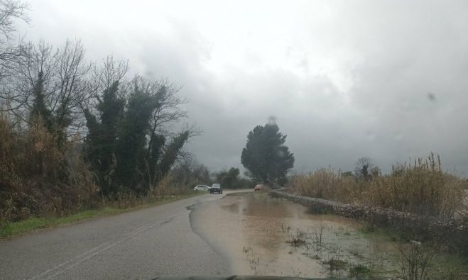 Κακοκαιρία στην Ηλεία | «Φούσκωσε» ο Αλφειός