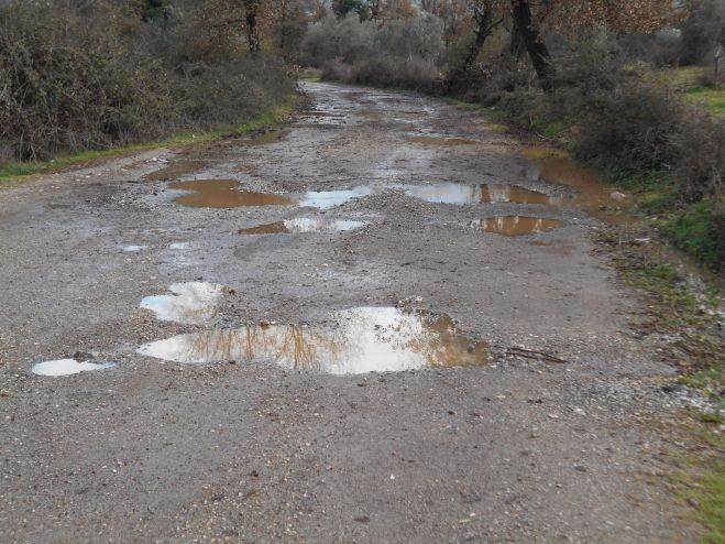 &Gamma;&omicron;&rho;&tau;&upsilon;&nu;ί&alpha; | &Sigma;&epsilon; &kappa;ά&kappa;&iota;&sigma;&tau;&eta; &kappa;&alpha;&tau;ά&sigma;&tau;&alpha;&sigma;&eta; &pi;&alpha;&rho;&alpha;&mu;έ&nu;&epsilon;&iota; &omicron; &delta;&rho;ό&mu;&omicron;&sigmaf; "&Lambda;&iota;&omicron;&delta;ώ&rho;&alpha; - &Pi;&upsilon;&rho;&rho;ή" (&epsilon;&iota;&kappa;ό&nu;&epsilon;&sigmaf;)
