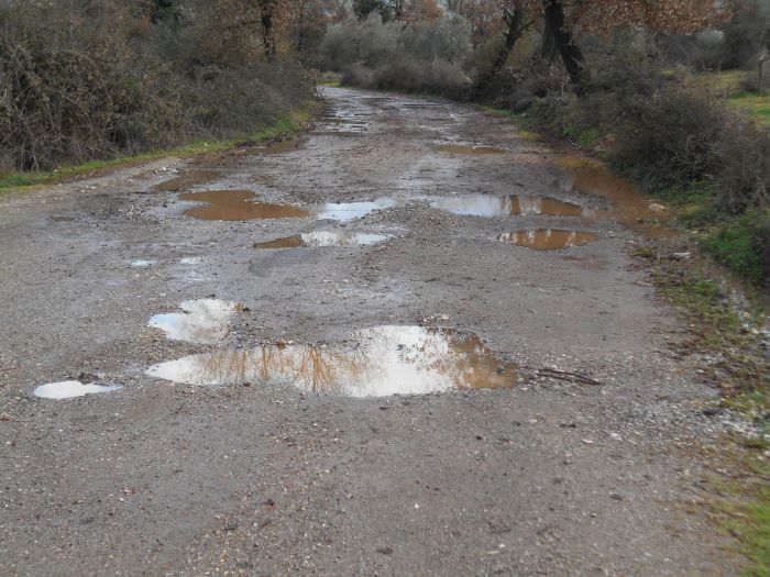 &Gamma;&omicron;&rho;&tau;&upsilon;&nu;ί&alpha; | &Sigma;&epsilon; &kappa;ά&kappa;&iota;&sigma;&tau;&eta; &kappa;&alpha;&tau;ά&sigma;&tau;&alpha;&sigma;&eta; &pi;&alpha;&rho;&alpha;&mu;έ&nu;&epsilon;&iota; &omicron; &delta;&rho;ό&mu;&omicron;&sigmaf; "&Lambda;&iota;&omicron;&delta;ώ&rho;&alpha; - &Pi;&upsilon;&rho;&rho;ή" (&epsilon;&iota;&kappa;ό&nu;&epsilon;&sigmaf;)