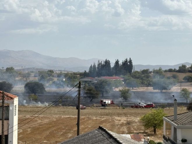 Υπό έλεγχο η φωτιά κοντά στην 124 ΠΒΕ Τρίπολης