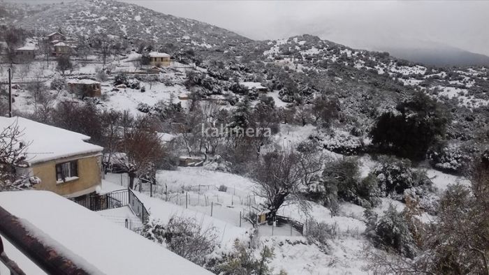 &Epsilon;&kappa;&pi;&lambda;&eta;&kappa;&tau;&iota;&kappa;έ&sigmaf; &epsilon;&iota;&kappa;ό&nu;&epsilon;&sigmaf; &alpha;&pi;ό &tau;&omicron; &chi;&iota;&omicron;&nu;&iota;&sigma;&mu;έ&nu;&omicron; &Alpha;&gamma;&rho;ί&delta;&iota; &sigma;&tau;&eta; &Gamma;&omicron;&rho;&tau;&upsilon;&nu;ί&alpha;!