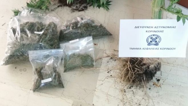 &Sigma;ύ&lambda;&lambda;&eta;&psi;&eta; &gamma;&iota;&alpha; &nu;&alpha;&rho;&kappa;&omega;&tau;&iota;&kappa;ά &sigma;&tau;&eta;&nu; &Kappa;&omicron;&rho;&iota;&nu;&theta;ί&alpha;