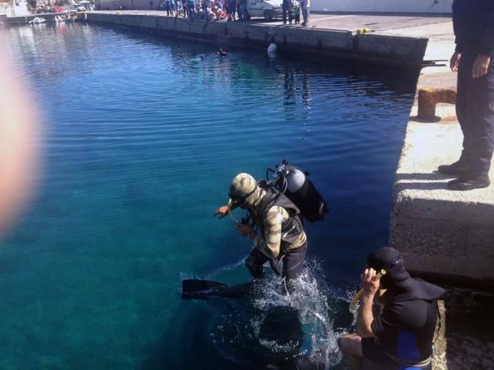 &Epsilon;&theta;&epsilon;&lambda;&omicron;&nu;&tau;έ&sigmaf; &kappa;&alpha;&theta;ά&rho;&iota;&sigma;&alpha;&nu; &tau;&eta;&nu; &pi;&alpha;&rho;&alpha;&lambda;ί&alpha; &Pi;&lambda;ά&kappa;&alpha;&sigmaf; &sigma;&tau;&omicron; &Lambda;&epsilon;&omega;&nu;ί&delta;&iota;&omicron; (&epsilon;&iota;&kappa;ό&nu;&epsilon;&sigmaf;)