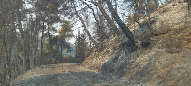 Κλιμάκιο του ΚΚΕ Αρκαδίας στο μέτωπο της φωτιάς στη Γορτυνία