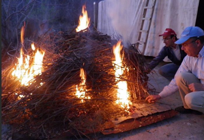 &Omicron;&iota; &pi;&alpha;&rho;&alpha;&delta;&omicron;&sigma;&iota;&alpha;&kappa;έ&sigmaf; &sigma;&omicron;ύ&beta;&lambda;&epsilon;&sigmaf; &tau;&eta;&sigmaf; &Beta;&lambda;&alpha;&chi;έ&rho;&nu;&alpha;&sigmaf;!