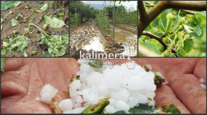 &Kappa;&alpha;&mu;ί&alpha; &alpha;&pi;ά&nu;&tau;&eta;&sigma;&eta; &gamma;&iota;&alpha; &tau;&iota;&sigmaf; &alpha;&pi;&omicron;&zeta;&eta;&mu;&iota;ώ&sigma;&epsilon;&iota;&sigmaf; &alpha;&gamma;&rho;&omicron;&tau;ώ&nu; &pi;&omicron;&upsilon; &kappa;&alpha;&tau;&alpha;&sigma;&tau;&rho;ά&phi;&eta;&kappa;&alpha;&nu; &alpha;&pi;ό &tau;&omicron; &chi;&alpha;&lambda;ά&zeta;&iota; &tau;&omicron;&upsilon; &Mu;&alpha;ΐ&omicron;&upsilon;!