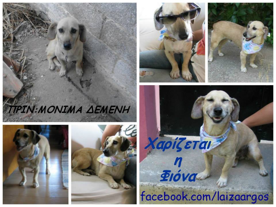 H Fiona &chi;&alpha;&rho;ί&zeta;&epsilon;&tau;&alpha;&iota;!