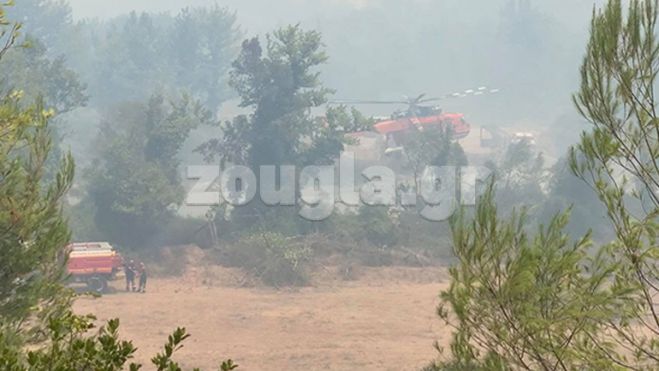 Γορτυνία| Ελικόπτερο Erickson ανεφοδιάζεται από μικρό ποταμό! (vd)