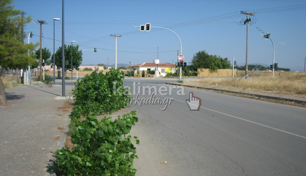 Φυτική επίθεση ...στην οδό Πελάγους! (εικόνες)