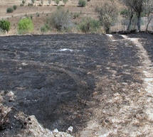 Στάχτες άφησαν πίσω τους οι φωτιές σε Ρίζες και Λιανού Ασέας (video)