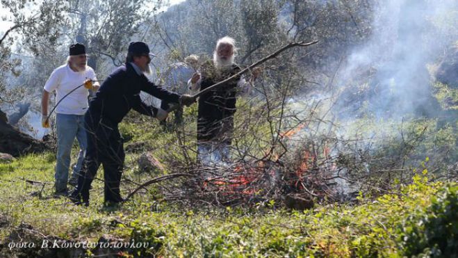 Δείτε βίντεο με τον Μητροπολίτη Αλέξανδρο στον ελαιώνα μοναστηρίου της Κυνουρίας!
