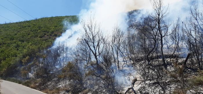 Οριοθετήθηκε η φωτιά κοντά στη Μονή Μπούρα (εικόνες)