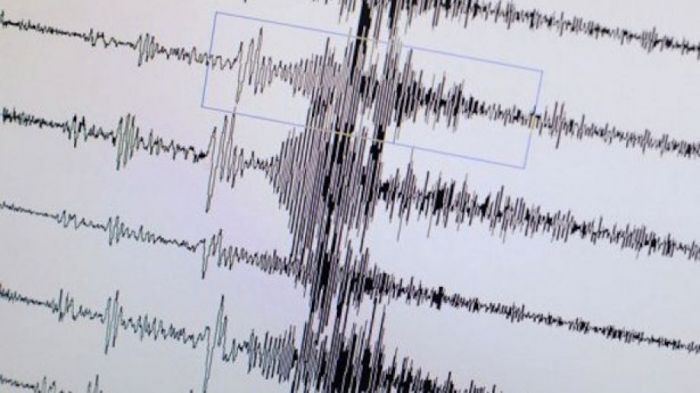 Τρεις σεισμικές δονήσεις τη νύχτα στη Γορτυνία!