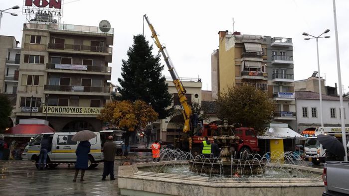 Έτοιμο το Χριστουγεννιάτικο Δένδρο στην κεντρική πλατεία της Τρίπολης! (εικόνες)