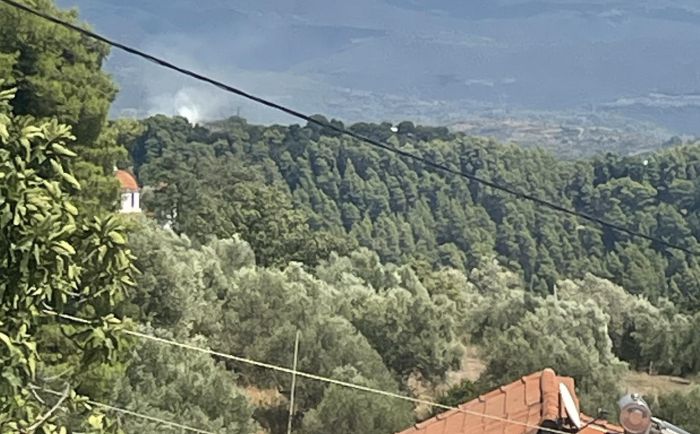 Έσβησε άμεσα η φωτιά στην Τριποταμιά Γορτυνίας