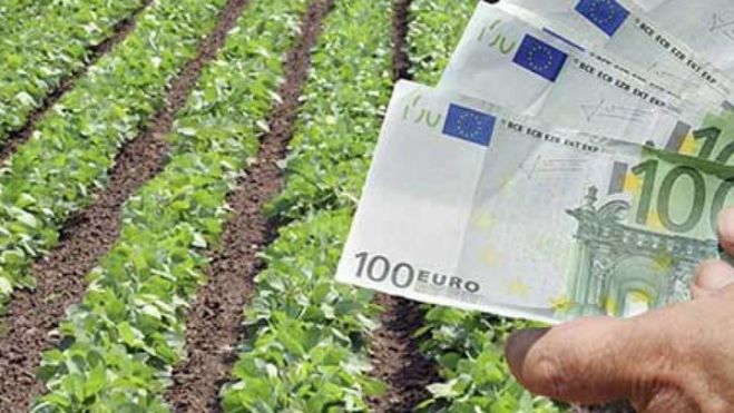 &Sigma;&tau;&omicron;&nu; &laquo;&alpha;έ&rho;&alpha;&raquo; &eta; &rho;ύ&theta;&mu;&iota;&sigma;&eta; 11.000 &kappa;ό&kappa;&kappa;&iota;&nu;&omega;&nu; &alpha;&gamma;&rho;&omicron;&tau;&iota;&kappa;ώ&nu; &delta;&alpha;&nu;&epsilon;ί&omega;&nu;