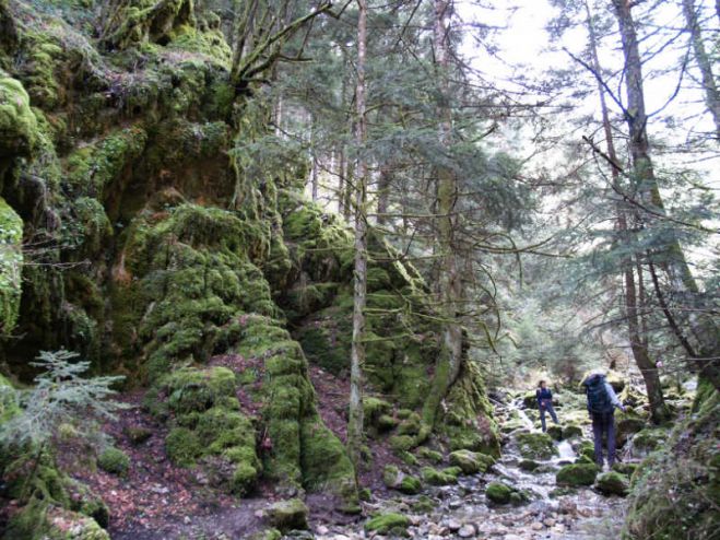 Πορεία στο κεντρικό Μαίναλο από τον ΣΑΟΟ