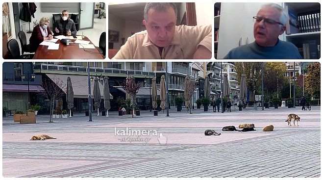 &Nu;έ&alpha; έ&nu;&tau;&alpha;&sigma;&eta; &gamma;&iota;&alpha; &tau;&alpha; &alpha;&delta;έ&sigma;&pi;&omicron;&tau;&alpha; | &Epsilon;&pi;&iota;&tau;&rho;&omicron;&pi;ή &gamma;&iota;&alpha; &tau;&eta; &Nu;&epsilon;&sigma;&tau;ά&nu;&eta; &zeta;ή&tau;&eta;&sigma;&epsilon; &omicron; &Sigma;&mu;&upsilon;&rho;&nu;&iota;ώ&tau;&eta;&sigmaf; - &Tau;&zeta;&iota;&omicron;ύ&mu;&eta;&sigmaf;: "&Mu;&epsilon;&iota;ώ&sigma;&alpha;&mu;&epsilon; &tau;&omicron; &kappa;ό&sigma;&tau;&omicron;&sigmaf; &pi;&epsilon;&rho;&iota;&sigma;&upsilon;&lambda;&lambda;&omicron;&gamma;ή&sigmaf; &alpha;&pi;ό 173 &sigma;&epsilon; 70 &epsilon;&upsilon;&rho;ώ &alpha;&nu;ά &zeta;ώ&omicron;"