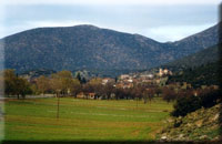 &Beta;&rho;&alpha;&delta;&iota;ά &kappa;&alpha;&rho;&alpha;ό&kappa;&epsilon;, &pi;&rho;&omicron;&beta;&omicron;&lambda;ή &tau;&alpha;&iota;&nu;ί&alpha;&sigmaf; &kappa;&alpha;&iota; &alpha;&gamma;ώ&nu;&alpha;&sigmaf; &pi;&alpha;&lambda;&alpha;&iota;&mu;ά&chi;&omega;&nu; &tau;&omicron;&nu; &Alpha;ύ&gamma;&omicron;&upsilon;&sigma;&tau;&omicron; &Kappa;&alpha;&kappa;&omicron;ύ&rho;&iota;