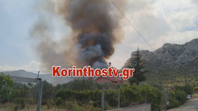 Υπό μερικό έλεγχο η πυρκαγιά στις Κεχριές Κορινθίας - Προληπτικά εκκενώθηκαν δύο παιδικές κατασκηνώσεις (vd)