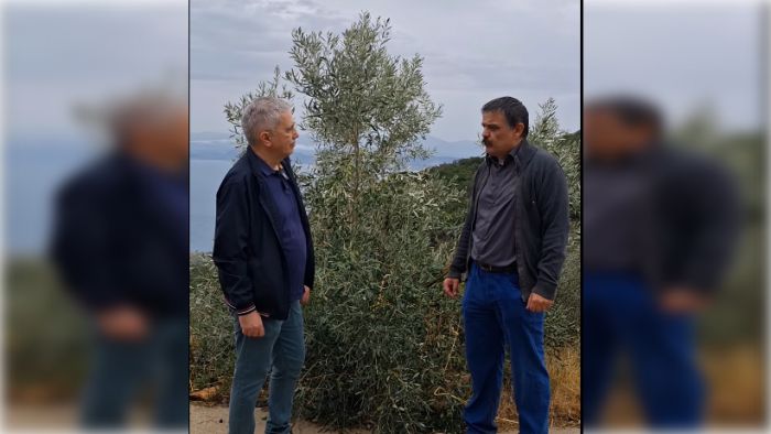 Υπερασπιζόμαστε τους αγρότες της Αρκαδίας – Όχι στην υποτίμηση της ελιάς Δολιανών (γαϊδουροελιάς)
